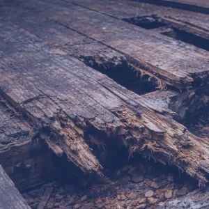 Wet Rot and Dry Rot Treatments