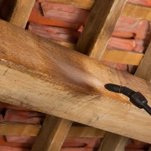 Timber Treatments